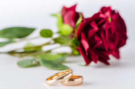 Wedding concept with rings and rosesの写真素材