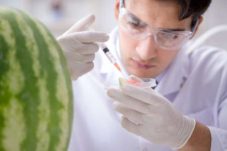 Scientist testing watermelon in labの写真素材