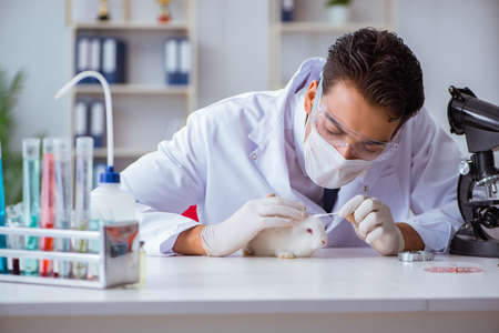 Vet doctor examining rabbit in pet hospitalの写真素材