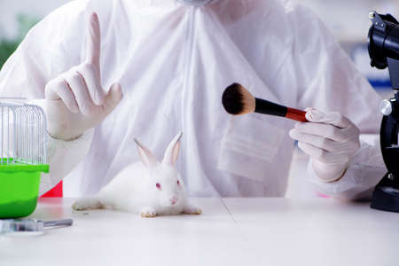 White rabbit in scientific lab experimentの写真素材