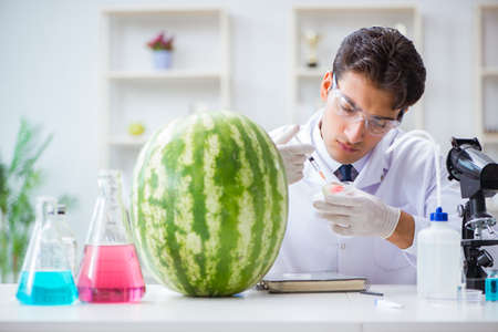 Scientist testing watermelon in labの写真素材