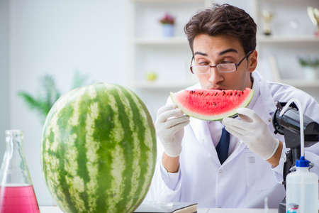 Scientist testing watermelon in labの写真素材