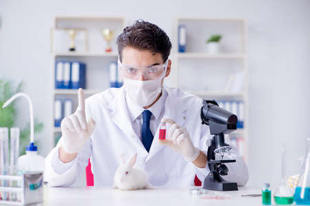 Vet doctor examining rabbit in pet hospitalの写真素材