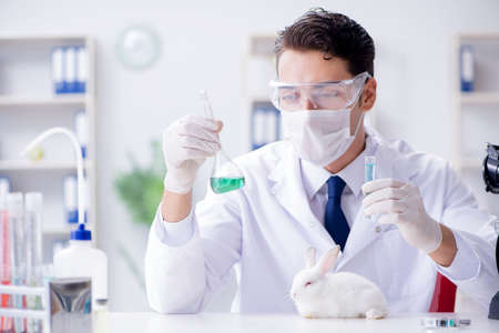 Vet doctor examining rabbit in pet hospitalの写真素材