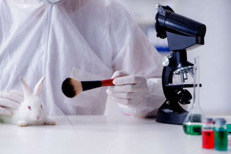 White rabbit in scientific lab experimentの写真素材