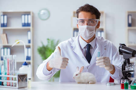 Vet doctor examining rabbit in pet hospitalの写真素材