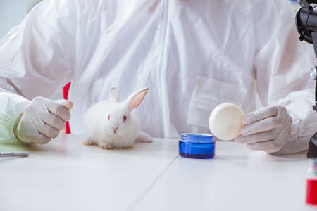 White rabbit in scientific lab experiment