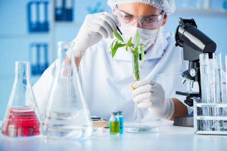 Biotechnology concept with scientist in labの写真素材