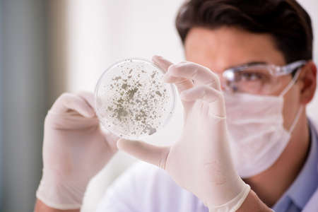 Male doctor working in the lab on virus vaccine