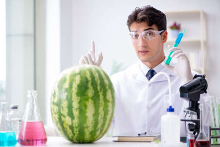 Scientist testing watermelon in labの写真素材