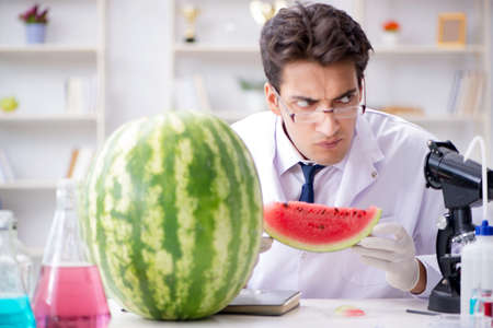 Scientist testing watermelon in labの写真素材