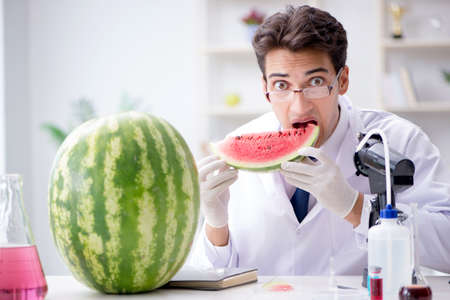 Scientist testing watermelon in labの写真素材