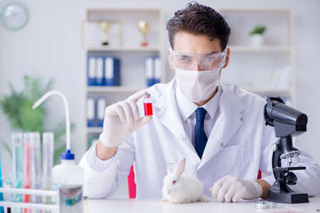 Vet doctor examining rabbit in pet hospitalの写真素材