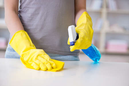 Woman doing cleaning at home