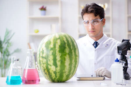 Scientist testing watermelon in labの写真素材