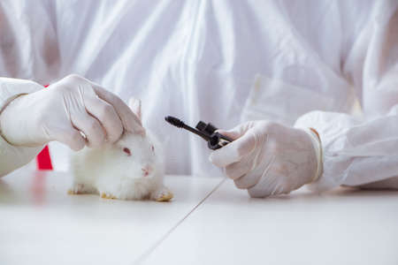 White rabbit in scientific lab experimentの写真素材