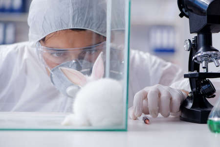 Scientist doing animal experiment in lab with rabbitの写真素材