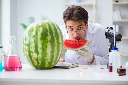 Scientist testing watermelon in labの写真素材