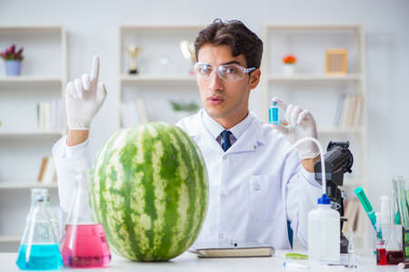 Scientist testing watermelon in labの写真素材