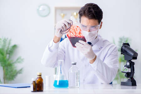 Doctor working with blood samples in hospital clinic lab