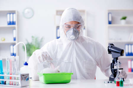 Scientist doing animal experiment in lab with rabbitの写真素材