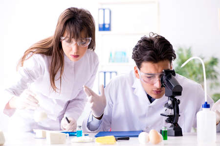 Two lab doctor testing food productsの写真素材