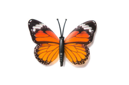 Colourful butterfly isolated on white backgroundの写真素材