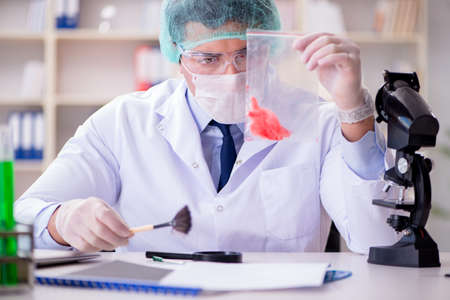 Forensics investigator working in lab on crime evidenceの写真素材