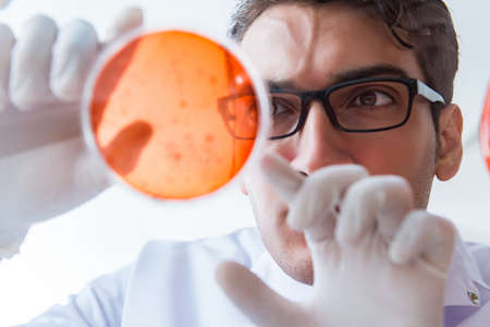 Chemist working in the laboratory with hazardous chemicalsの写真素材