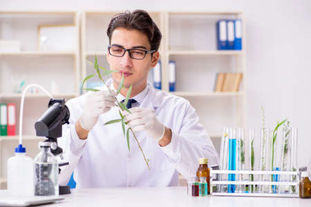 Biotechnology scientist chemist working in labの写真素材