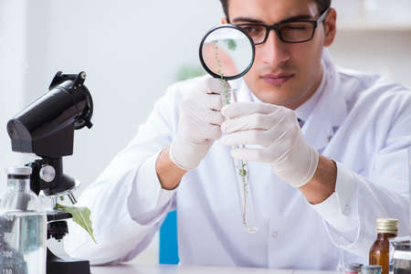 Biotechnology scientist chemist working in labの写真素材