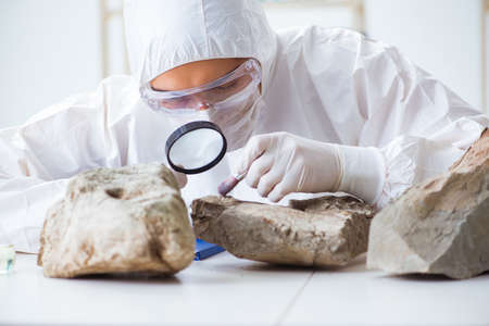 Scientist looking and stone samples in labの素材 [FY31097029312]