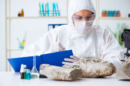 Scientist looking and stone samples in labの写真素材