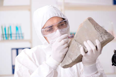 Scientist looking and stone samples in labの写真素材