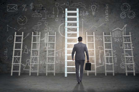 Career progression concept with various laddersの写真素材