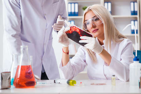 Woman female doctor looking at blood samples in bagの写真素材