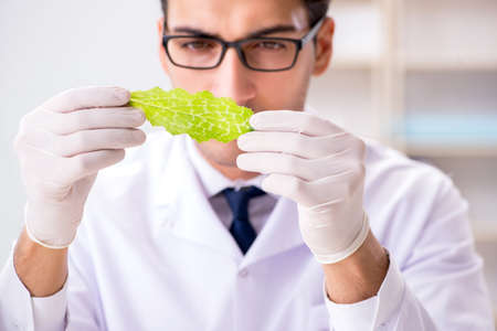 Biotechnology scientist chemist working in lab