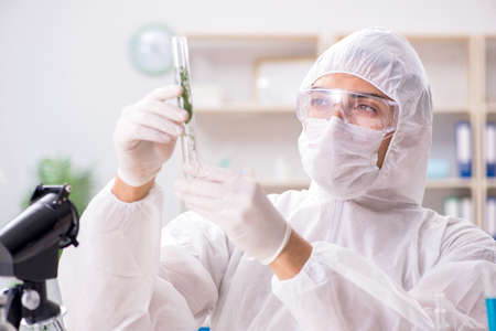 Biotechnology scientist chemist working in lab