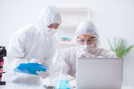 Two scientists working in the chemical labの写真素材