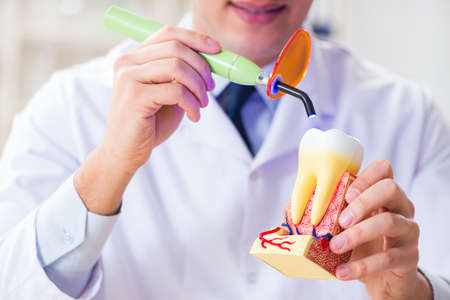 Young dentist working in the dentistry hospital