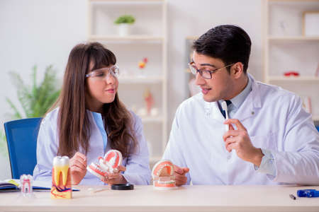 Dentist explaining student tooth structureの写真素材