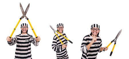 Prison inmate isolated on the white background