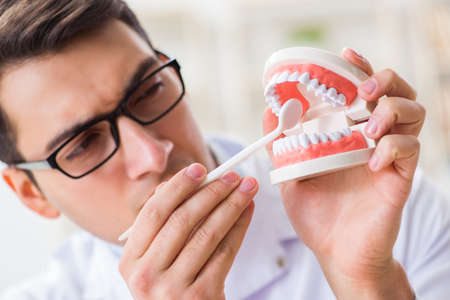 Young dentist working in the dentistry hospital