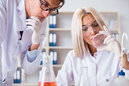 Two chemists having discussion in labの写真素材