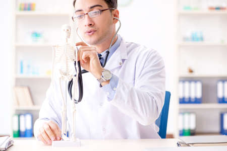 Doctor explaining human body on skeletonの写真素材