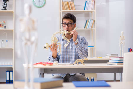 Student doctor studying animal skeletonの写真素材