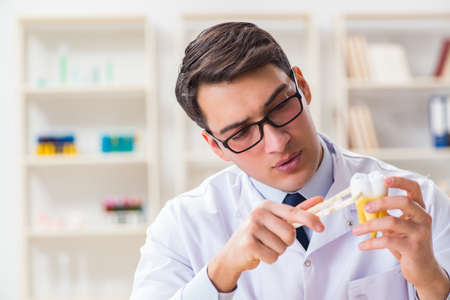 Young dentist working in the dentistry hospitalの写真素材