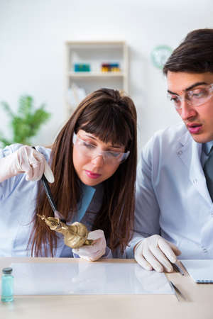 Two archeologists looking at ancient gold lampの写真素材