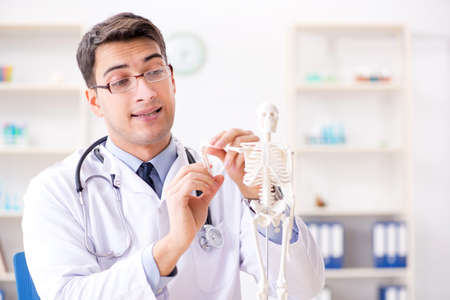 Doctor explaining human body on skeletonの写真素材