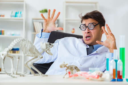 Funny scientist with cat skeleton in lab clinicの写真素材